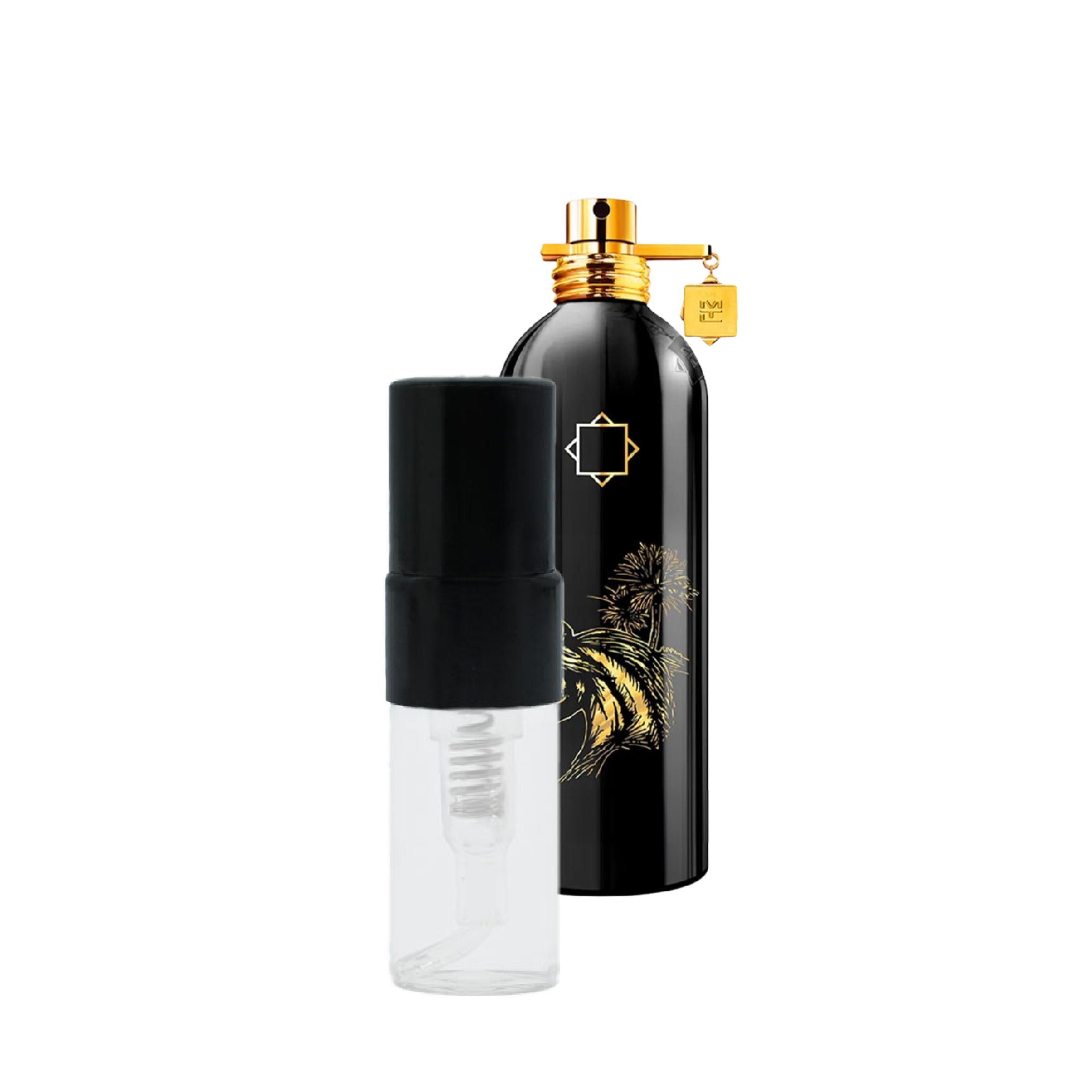 2ml Atlas